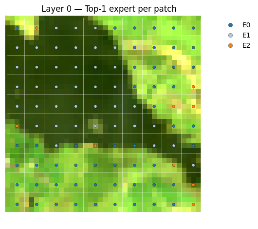 mixture-of-experts masked autoencoder