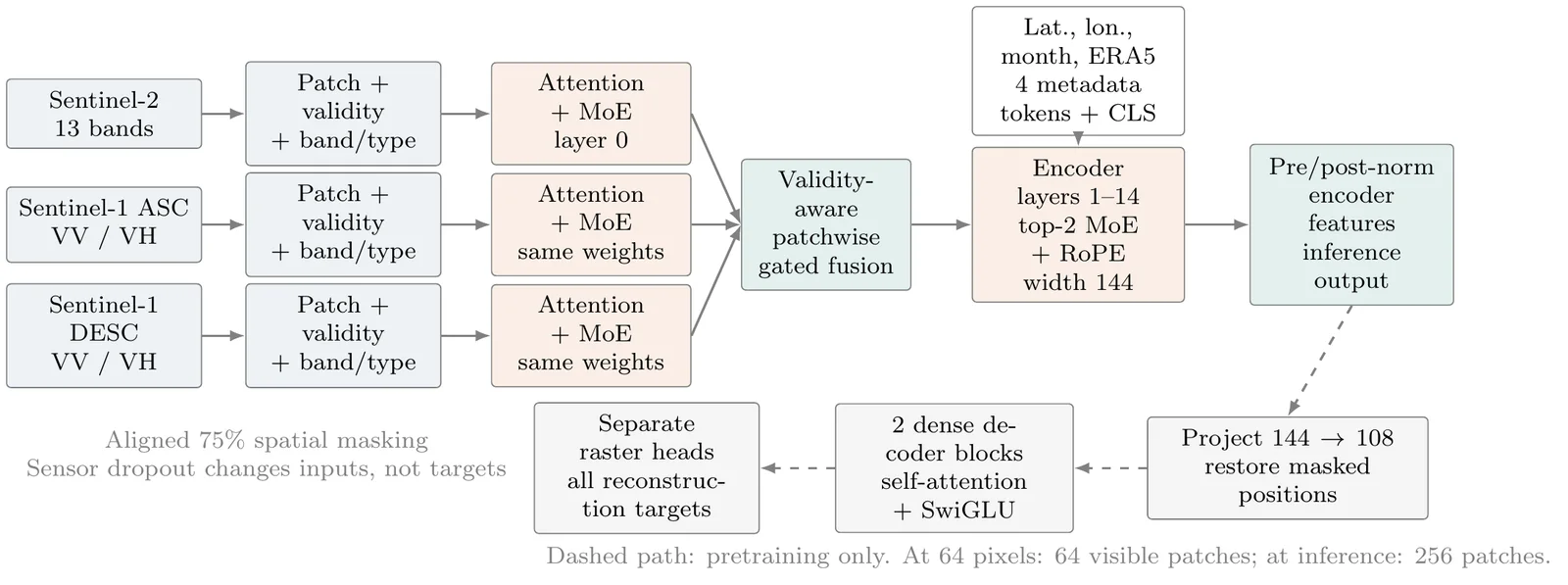 Architecture of the compact MEOX multimodal Earth Observation model